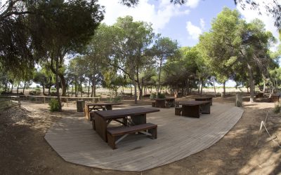 LA OFICINA DE TURISMO DEL PASEO VISTA ALEGRE SE CONVIERTE EN PUNTO DE INFORMACIÓN COLABORADOR (PIC) DEL PARQUE NATURAL DE LAS LAGUNAS DE LA MATA Y TORREVIEJA