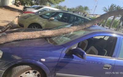 Los Verdes de Torrevieja denuncian la falta de mantenimiento en zonas verdes