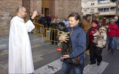El tradicional adiós a la Navidad, llega con la bendición de animales en San Antón