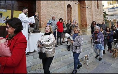 Torrevieja celebrará mañana, Festividad de San Antón, la tradicional bendición de animales