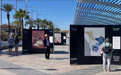 Inaugurada la Exposición “3000 años de cultura del vino Alicante”