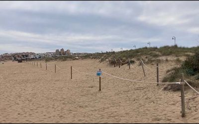 La concejalía de medio ambiente instala un nuevo balizado para salvaguardar la nidificación del “Chorlitejo patinegro” en la playa de La Mata