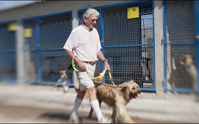 La Junta de Gobierno local aprueba la licitación de las obras de construcción del nuevo albergue municipal de animales