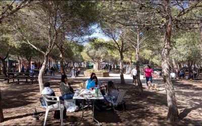 Un “Día de mona” en el Área Recreativa “Eduardo Gil”