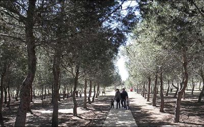 Más de 1.000 personas acampan en Semana Santa en el Área Recreativa Municipal “José Eduardo Gil Rebollo”