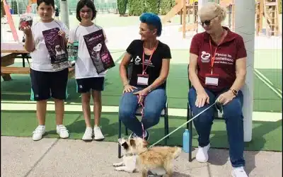 ELIS Villamartín se une al refugio Finca La Castellana en una labor solidaria para ayudar a los animales