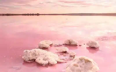 Descubre la belleza de las Lagunas de Torrevieja y La Mata: una recomendación de National Geographic