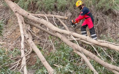 Intenso fin de semana para los bomberos del Consorcio Provincial de Alicante ante emergencias provocadas por la DANA en Torrevieja y alrededores