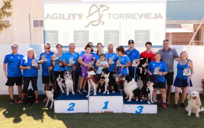 Torrevieja Celebra con Gran Afluencia la Copa Regional RFEC de Agility