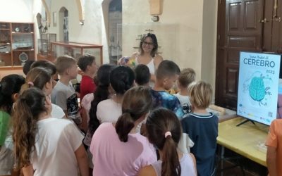 Noche Europea de los Investigadores: El Museo de Historia Natural de Torrevieja acoge a casi 200 entusiastas