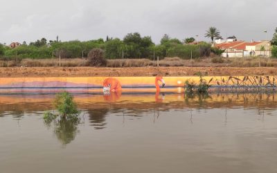 Torrevieja Innova: De Balsa de Laminación a Museo de Grafiti al Aire Libre