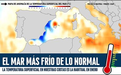 Ola de Frío Submarino: Torrevieja Registra Temperaturas Marinas por Debajo de lo Esperado