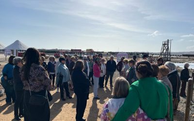 Confraternidad y Devoción en la Convivencia de la Hospitalidad Diocesana de Ntra. Sra. de Lourdes en Torrevieja