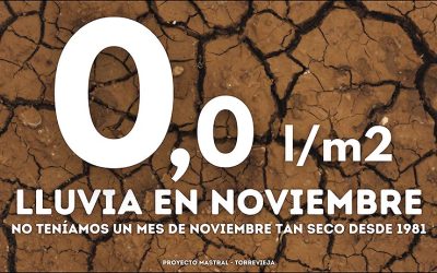 Noviembre Seco en Torrevieja: Un Fenómeno Poco Común Desde 1981