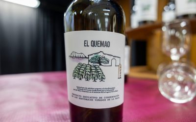 “El Quemao”: Un Vino con Sello Estudiantil y Tradición de La Mata