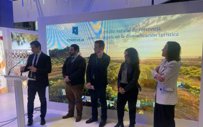 El Camino De Santiago Salinero: Uniendo Torrevieja con el Patrimonio del Camino del Sureste