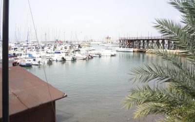 El PSOE de Torrevieja Critica el Deterioro de las Eras de la Sal