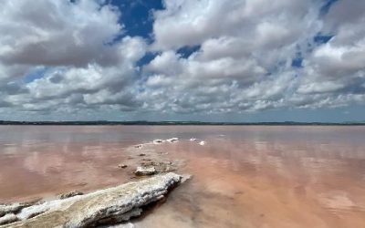 Innovación Verde: Transformación Ecológica de las Barcas en Torrevieja y Elche
