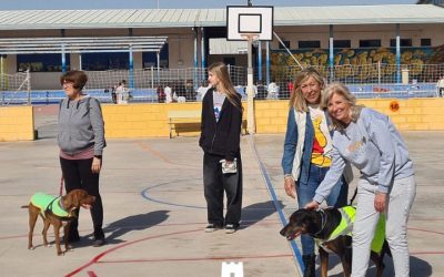 Impulso a la Concienciación sobre el Bienestar Animal en los Centros Escolares de Torrevieja