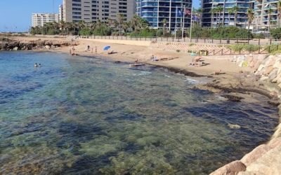 Las playas de Torrevieja nuevamente ondearán las banderas azules y reciben distinción en educación ambiental