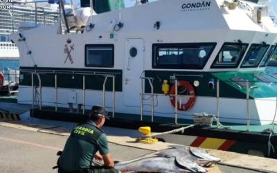 Operativo de la Guardia Civil contra la pesca ilegal del atún rojo en Alicante