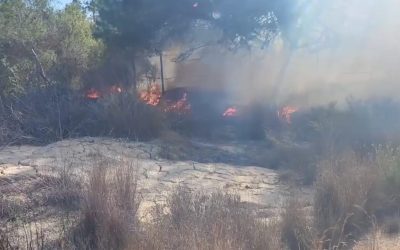 Controlado el incendio en el paisaje protegido de Sierra Escalona y Dehesa de Campoamor