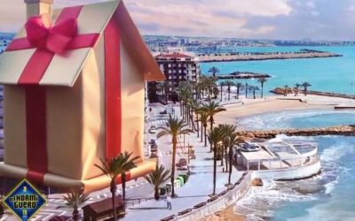 El hormiguero Torrevieja