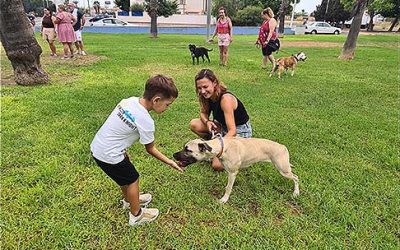 Éxito rotundo en el II Paseo Grupal de Perros del Albergue Municipal de Torrevieja
