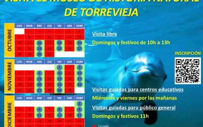 El Museo de Historia Natural de Torrevieja Reabre sus Puertas con Visitas Guiadas Gratuitas Durante el Otoño