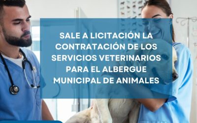 Sale a licitación la contratación de servicios veterinarios para el Albergue Municipal de Animales de Torrevieja