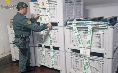 Interceptan casi dos toneladas de boquerón inmaduro tras seguimiento desde Torrevieja hasta San Pedro del Pinatar