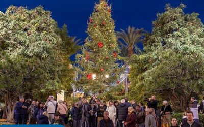 El encendido del árbol de Navidad sueco marcará el inicio de las festividades navideñas en Torrevieja
