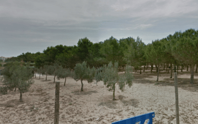 Récord de solicitudes para acampar en la zona natural José Eduardo Gil Rebollo